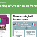 Undervisning af ordblinde i fremmedsprog