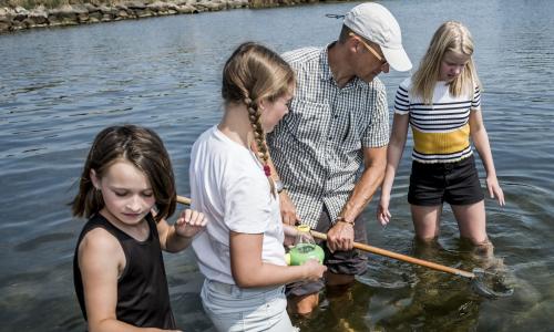 Natur/teknologi - Lære og elever fisker med net